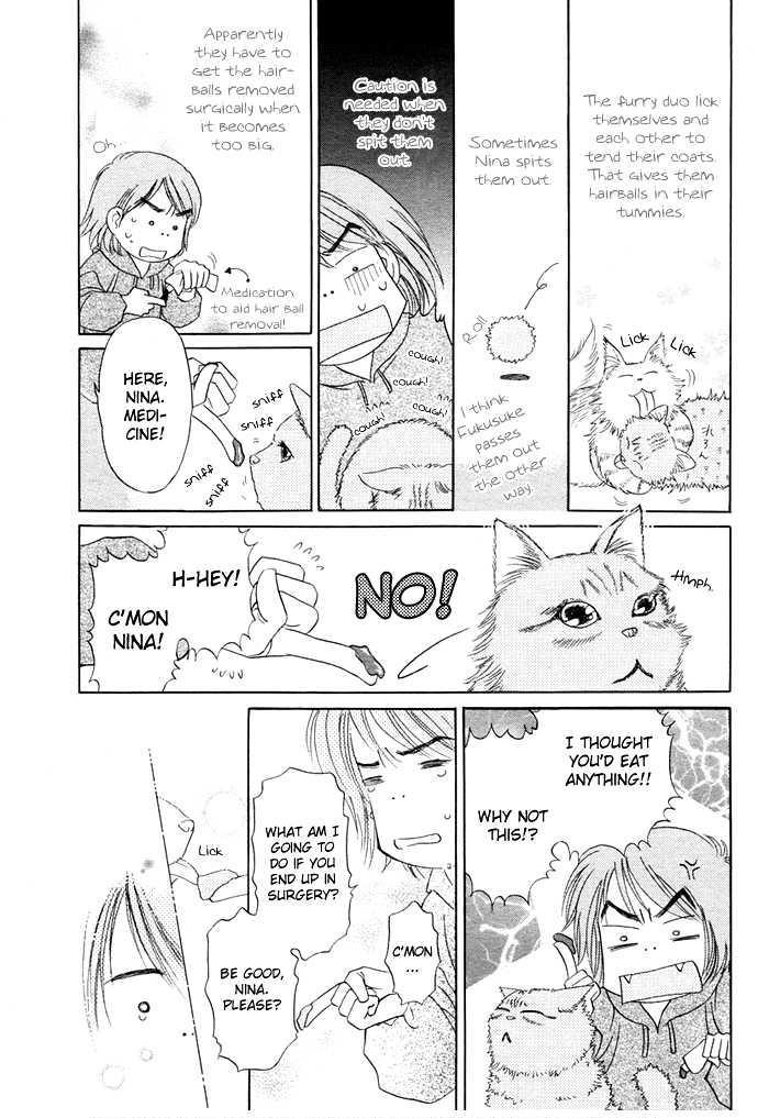 Attemo Nakutemo Neko no Shippo Chapter 0 page 5 - Chapter 0: Oneshot