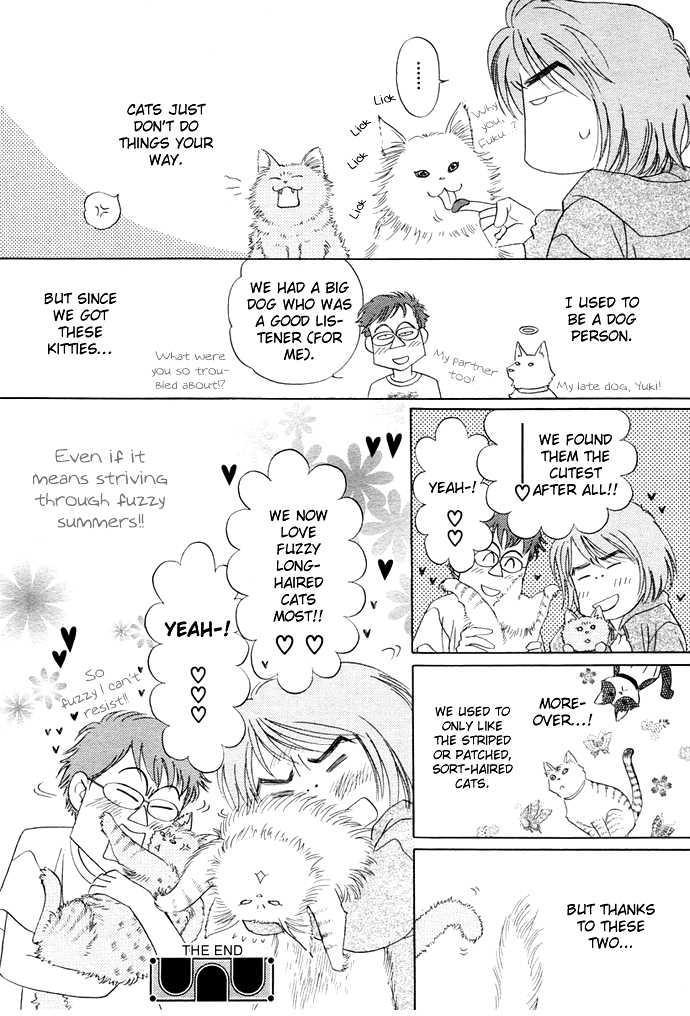 Attemo Nakutemo Neko no Shippo Chapter 0 page 6 - Chapter 0: Oneshot