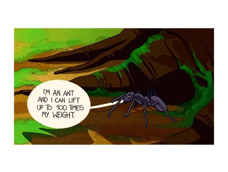Average Adventures of an Average Girl Chapter 142 page 3 - Chapter 142