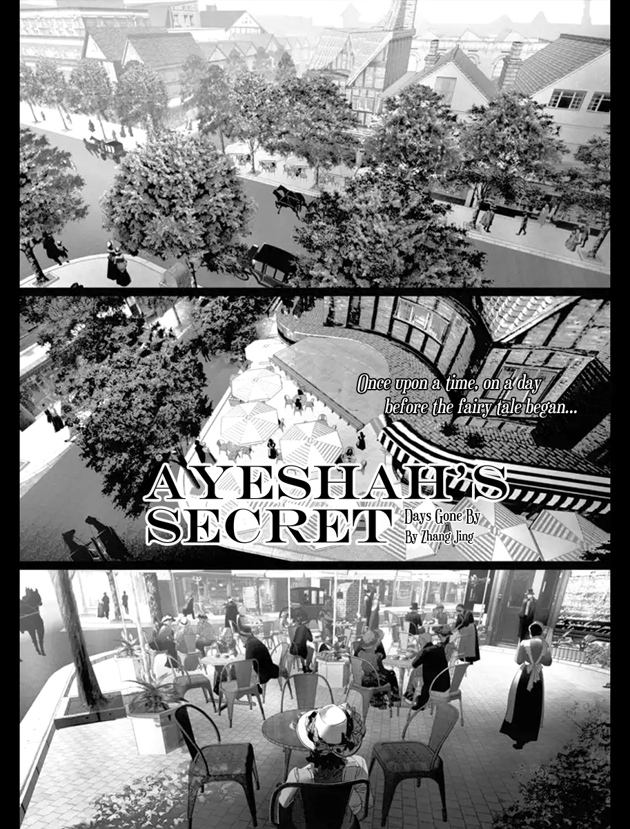 Ayeshah's Secret Chapter 11.5 page 2 - Chapter 11.5: [END]