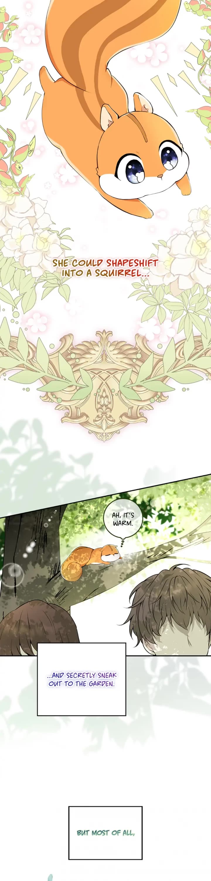 Baby Squirrel Is Good at Everything Chapter 1 page 37 - Chapter 1