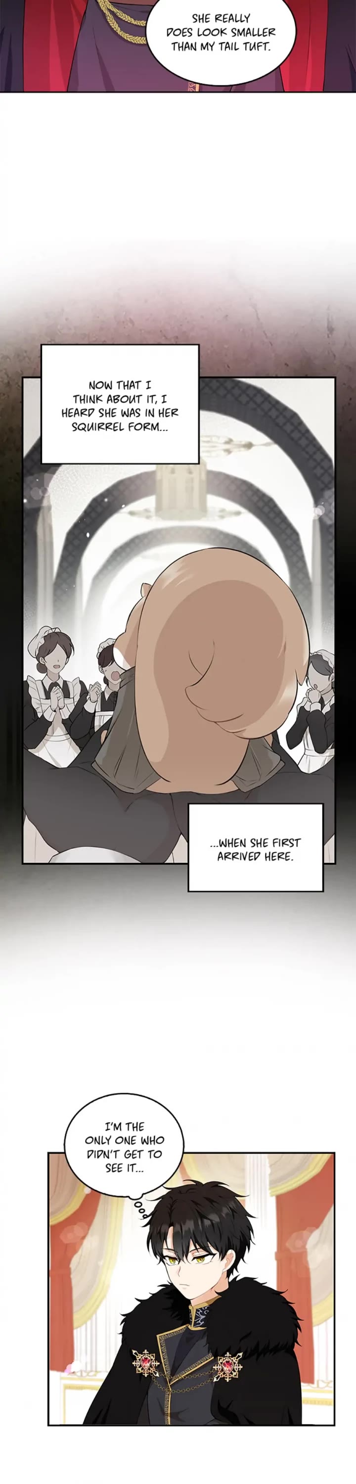 Baby Squirrel Is Good at Everything Chapter 5 page 22 - Chapter 5