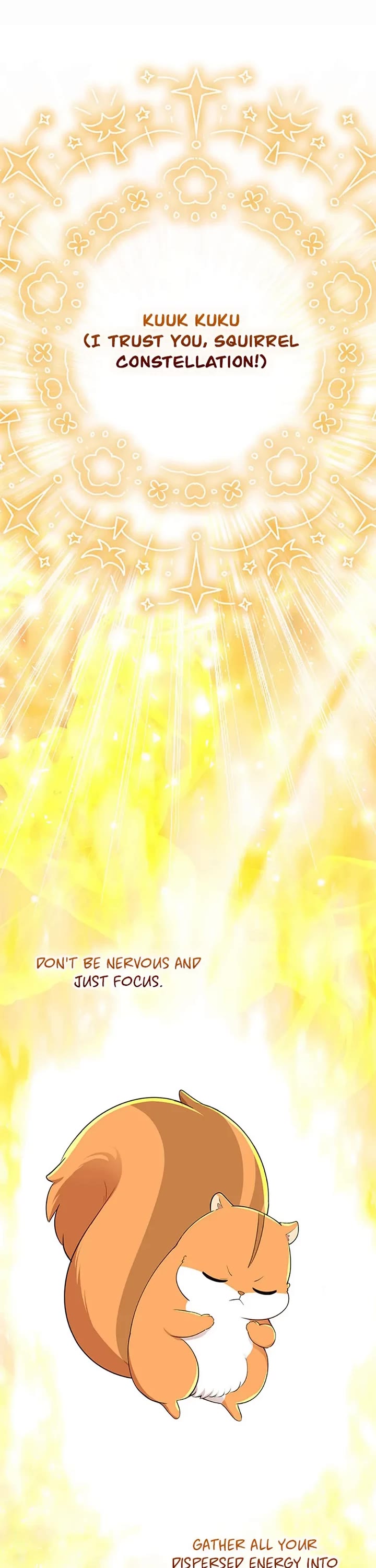 Baby Squirrel Is Good at Everything Chapter 74 page 17 - Chapter 74