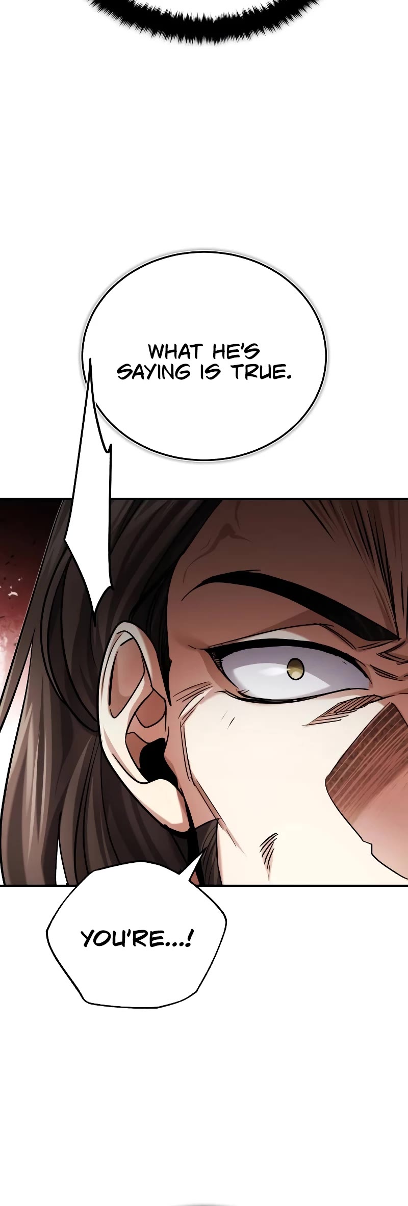 Baek Clan's Terminally Ill Young Master Chapter 31 page 45 - Chapter 31