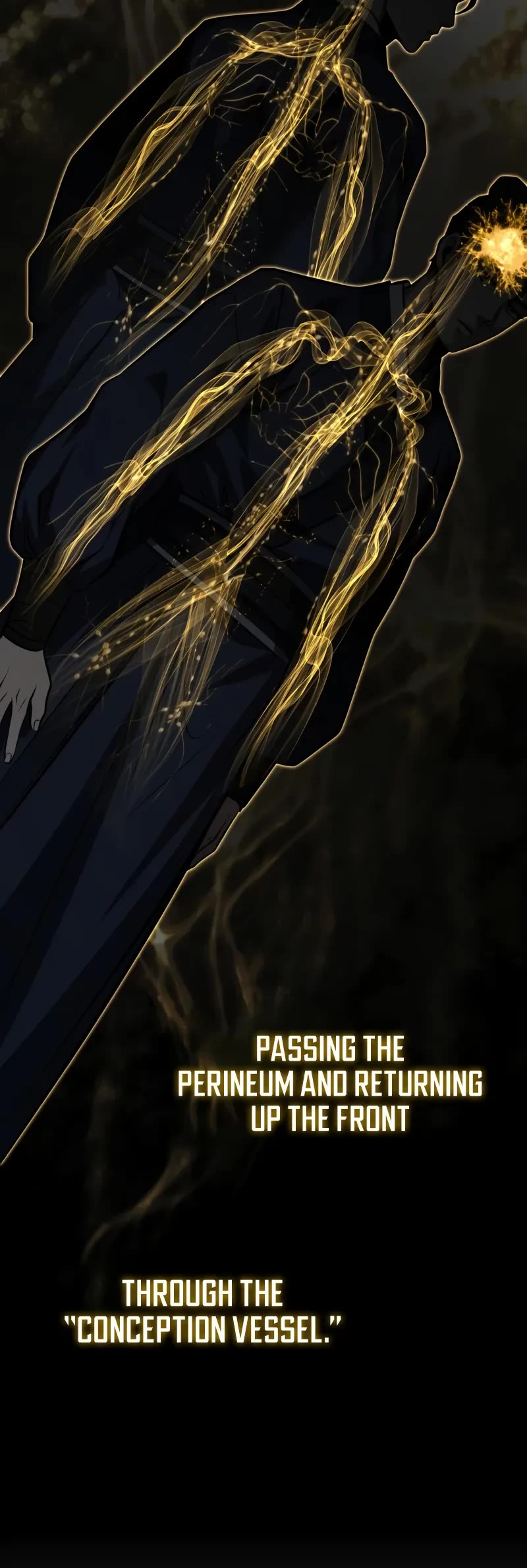 Baek Clan's Terminally Ill Young Master Chapter 84 page 45 - Chapter 84: The Way To Become A Supreme Peak Martial Master.