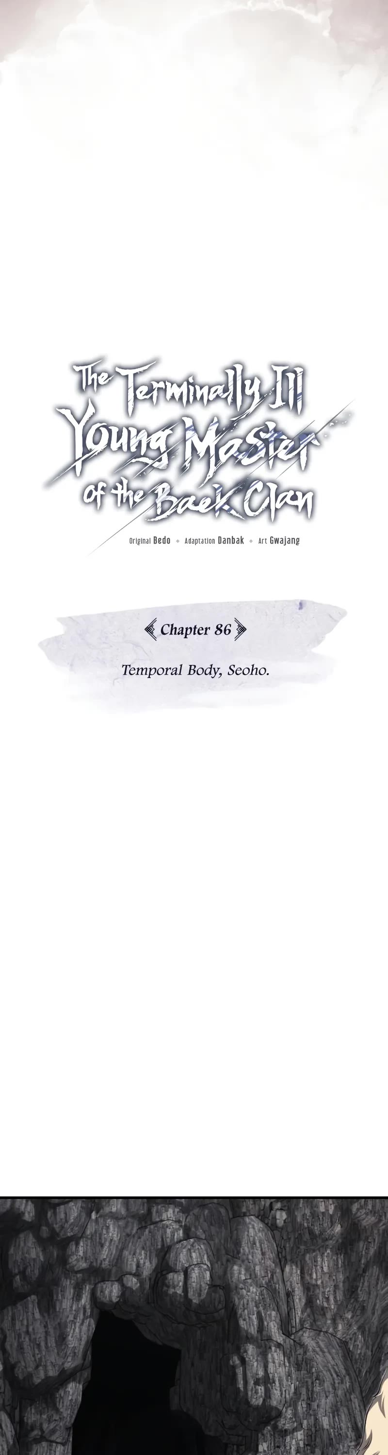 Baek Clan's Terminally Ill Young Master Chapter 86 page 14 - Chapter 86: Temporal Body, Seoho.