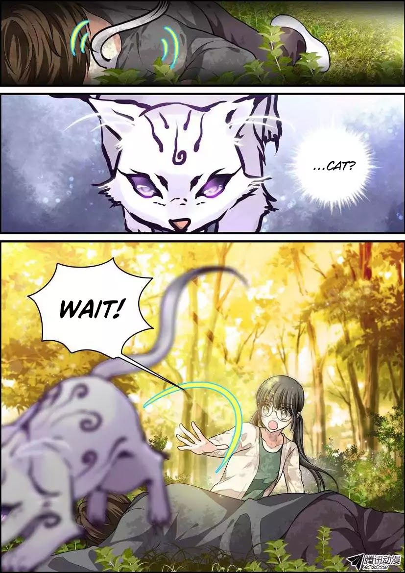 Bai Ze's Bizarre Collection Chapter 1 page 15 - Chapter 1: The Beautiful Loser