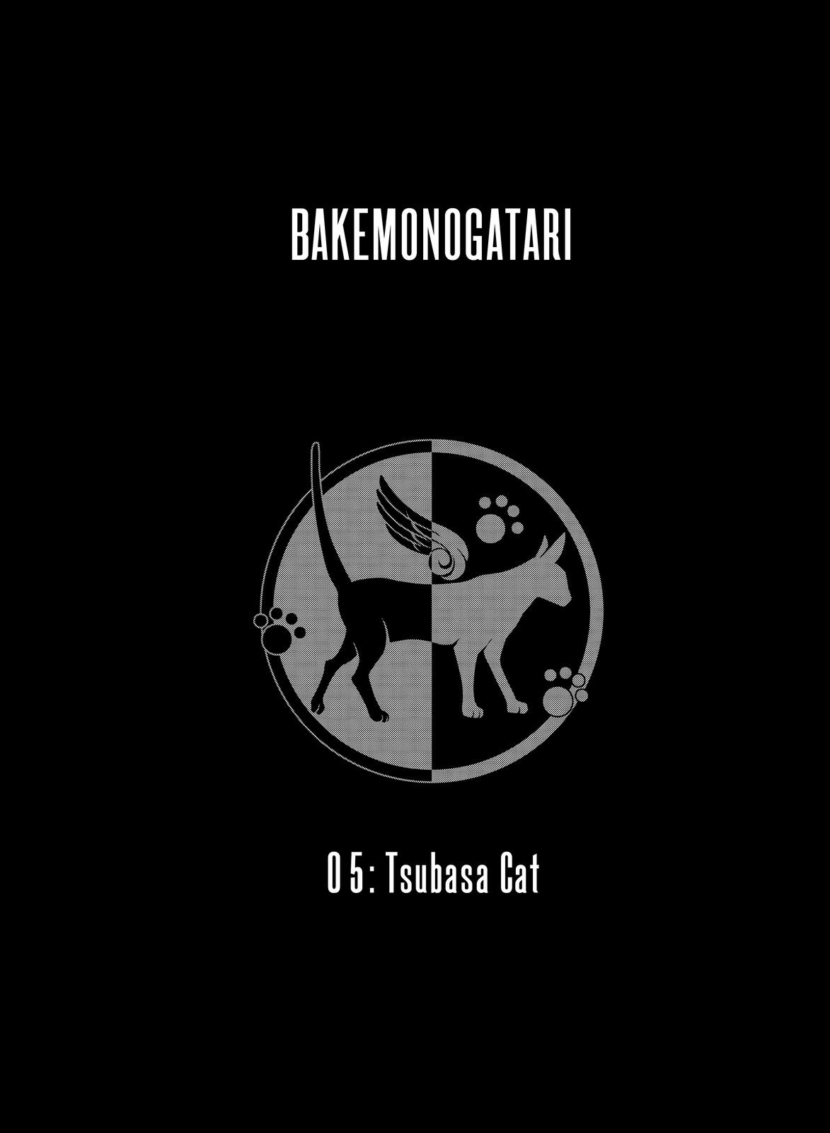 Bakemonogatari (Nishio Ishin) Chapter 125 page 19 - Chapter 125