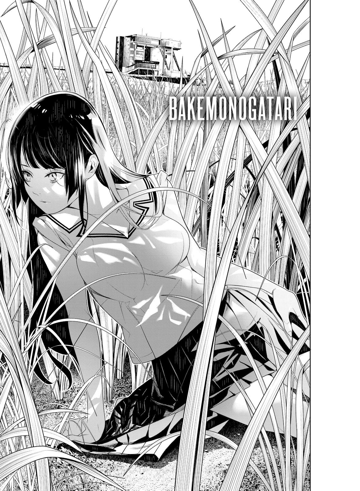 Bakemonogatari (Nishio Ishin) Chapter 126 thumbnail