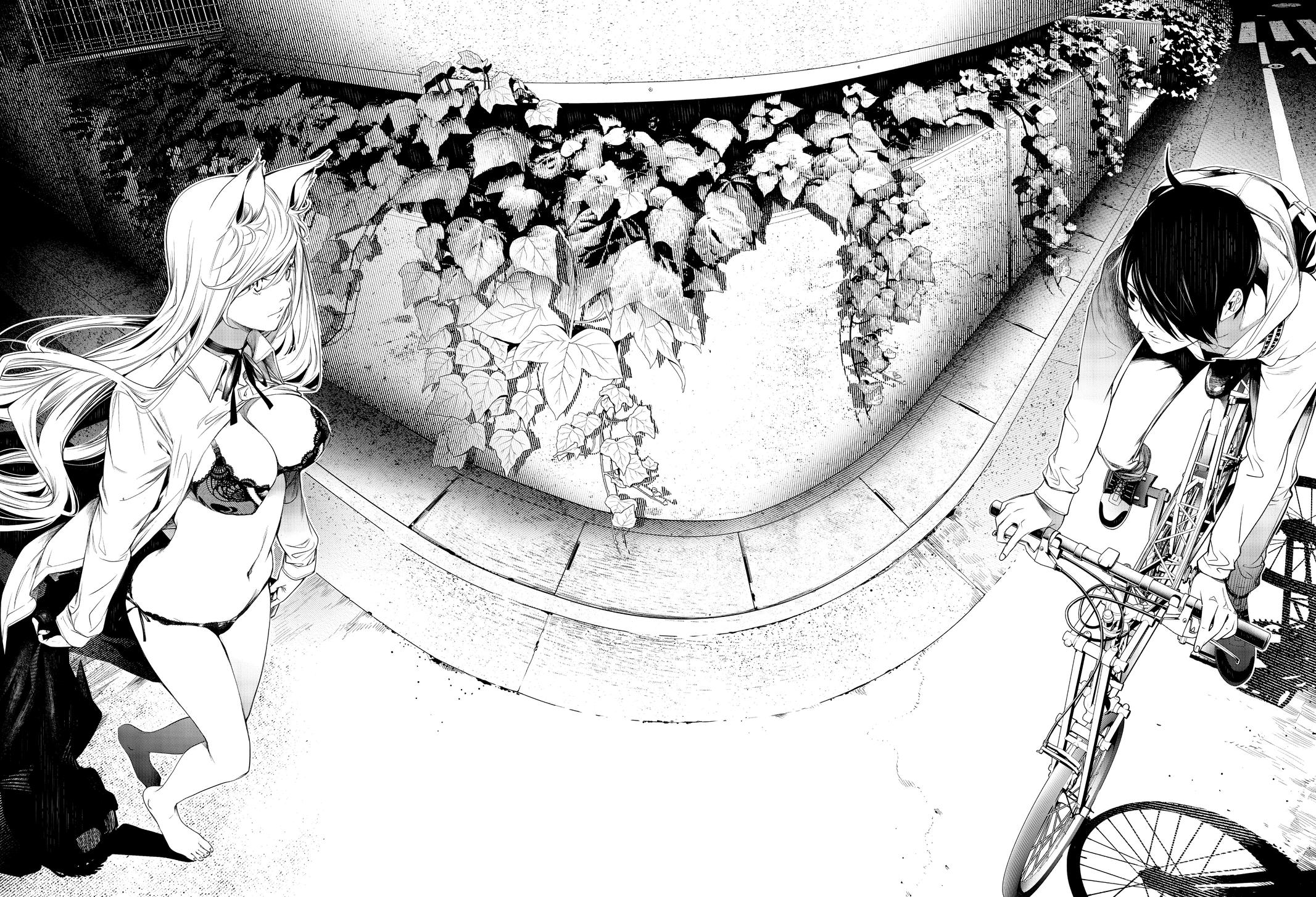 Bakemonogatari (Nishio Ishin) Chapter 136 page 16 - Chapter 136