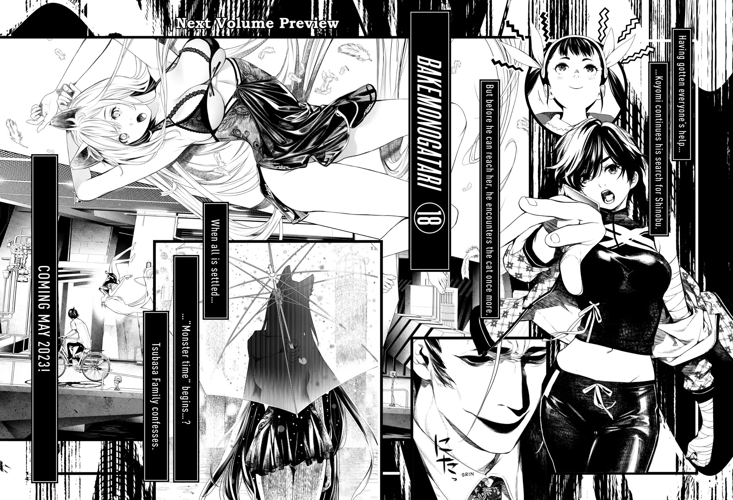 Bakemonogatari (Nishio Ishin) Chapter 148 page 22 - Chapter 148