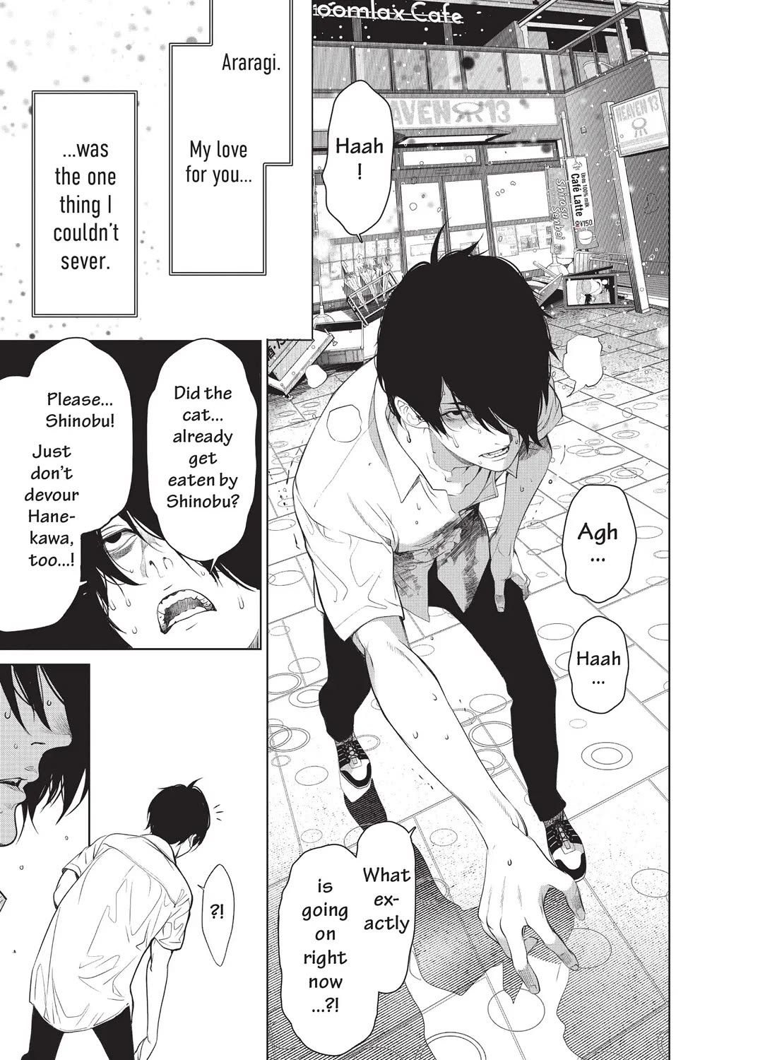 Bakemonogatari (Nishio Ishin) Chapter 161 page 13 - Chapter 161