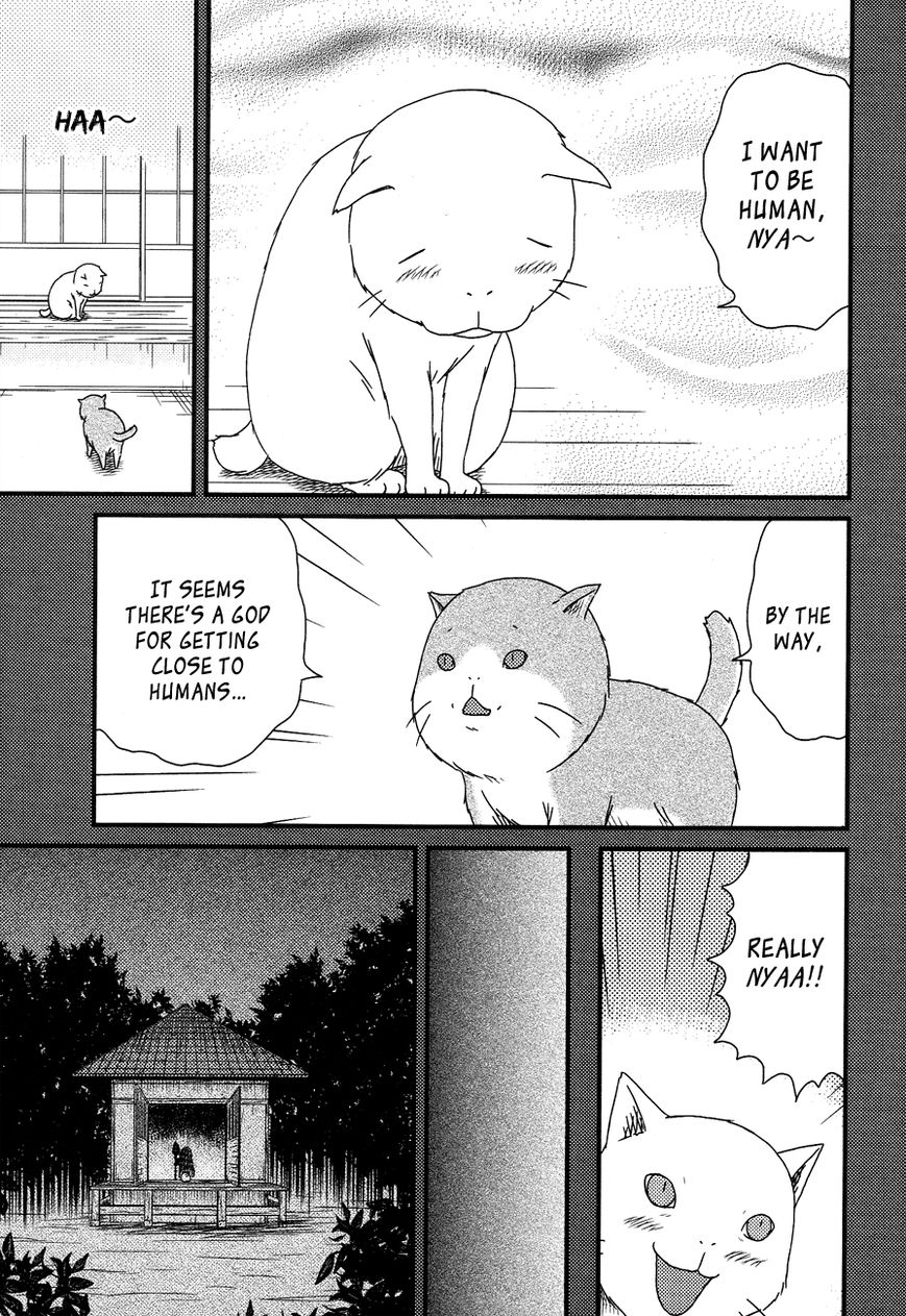 Bakeneko OL Tamami-san - Omoi Tsuzukete Nanadaime Chapter 12 page 3 - Chapter 12 : I Want To Become Human, Nyaa...