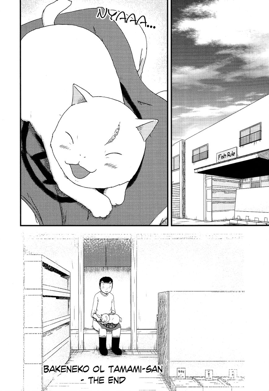 Bakeneko OL Tamami-san - Omoi Tsuzukete Nanadaime Chapter 14 page 14 - Chapter 14 : That's Not How It Was, Nyaa... [End]