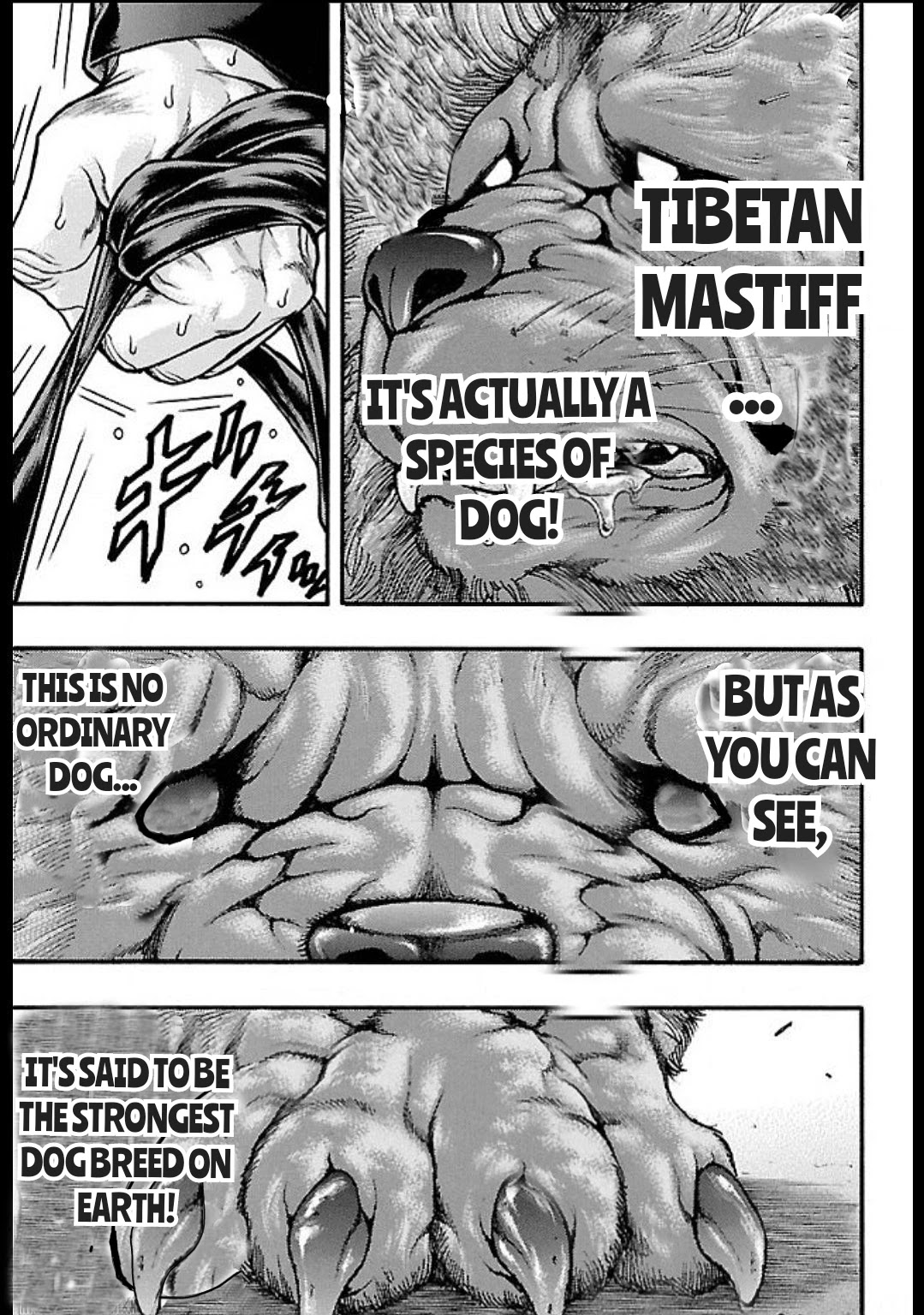 Baki Gaiden: Kizudzura Chapter 14 page 5 - Chapter 14: PET DOG
