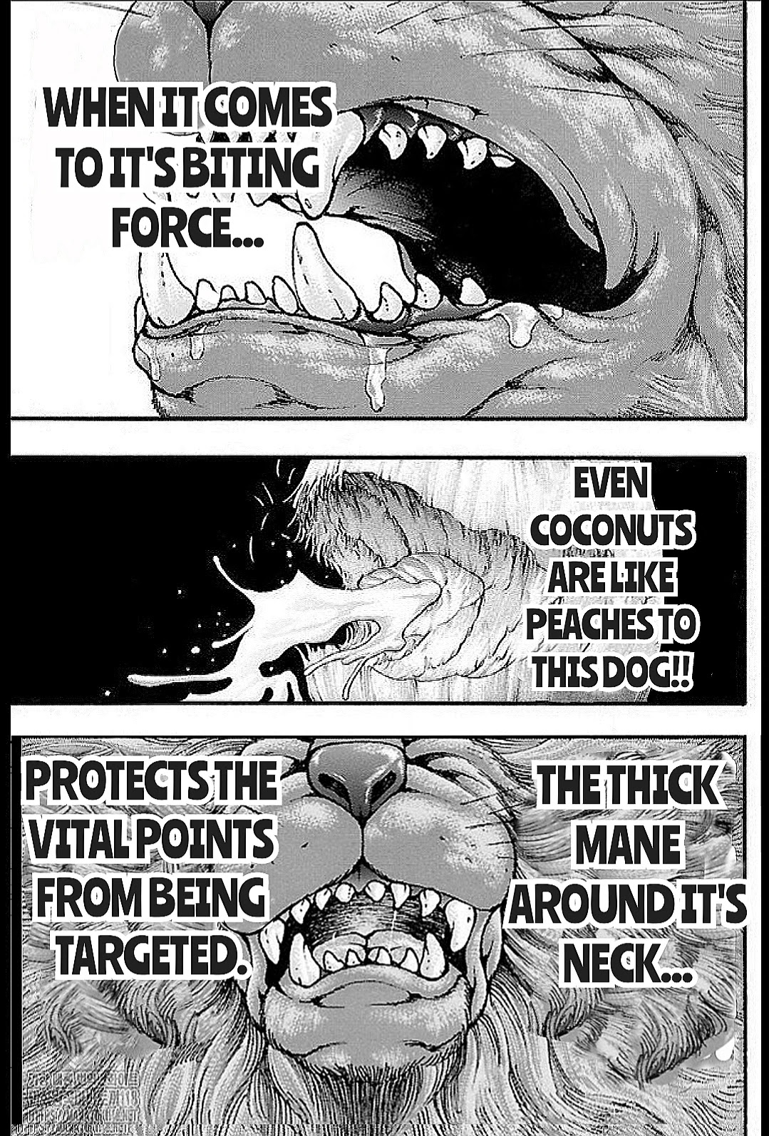 Baki Gaiden: Kizudzura Chapter 14 page 7 - Chapter 14: PET DOG