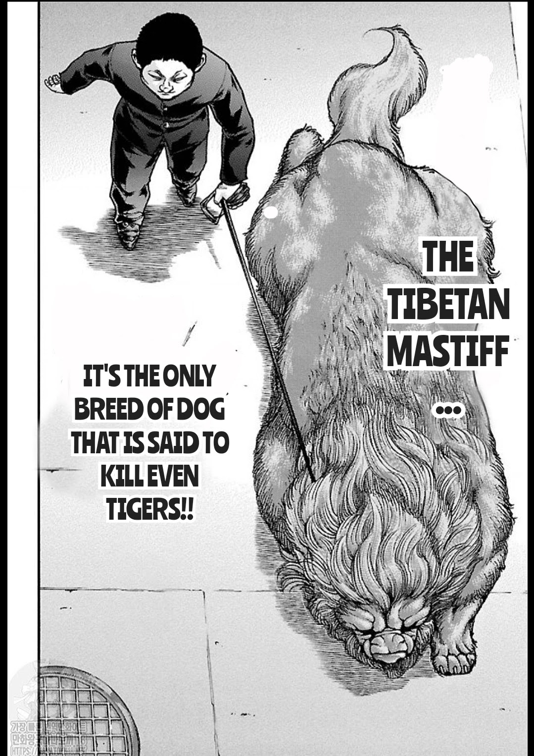 Baki Gaiden: Kizudzura Chapter 14 page 8 - Chapter 14: PET DOG