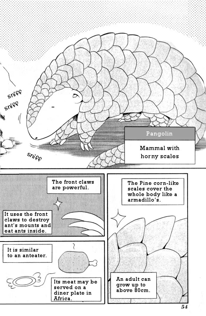 Bamboo Blade Chapter 13 page 8 - Chapter 13: Miya Miya & A Pangolin