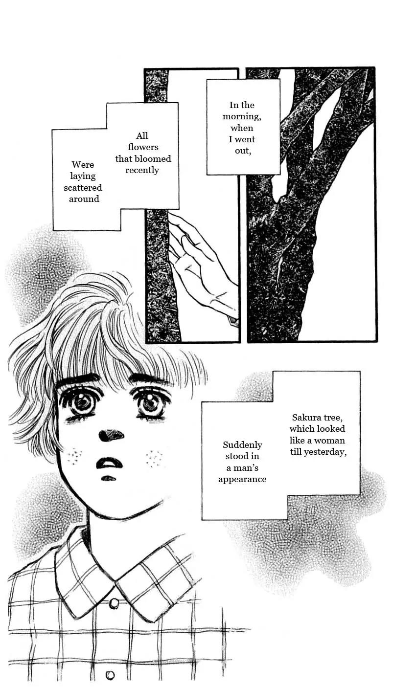 Bara no Tameni Chapter 48 page 43 - Chapter 48: Night Flower