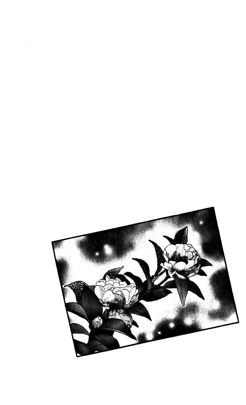 Bara no Tameni Chapter 49 page 7 - Chapter 49: Kissing With Just Eyes