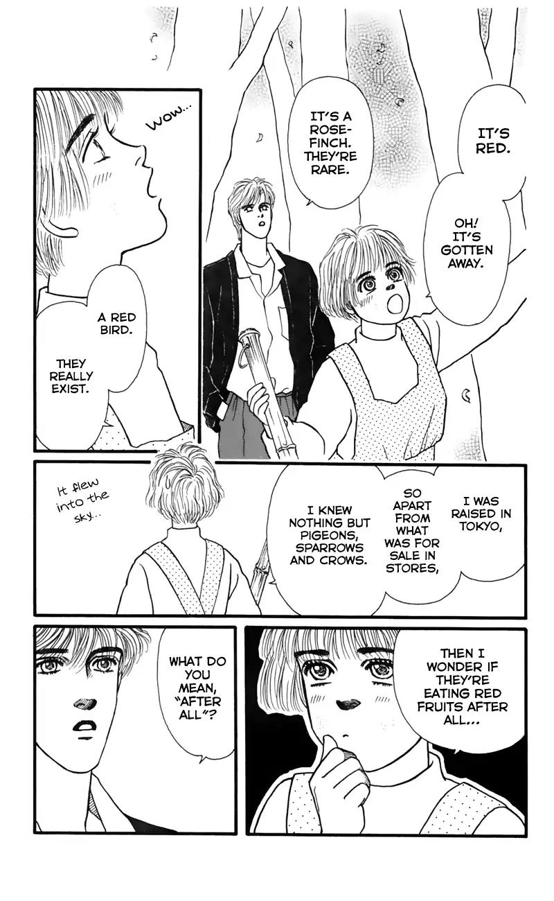 Bara no Tameni Chapter 53 page 38 - Chapter 53: Little Bird, Red Bird