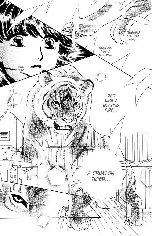 Barairo My Honey Chapter 1 page 42 - Chapter 1: My Little Kitty