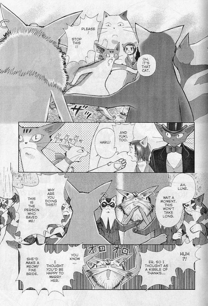 Baron: The Cat Returns Chapter 3 page 78 - Chapter 3 : The Kingdom of Cats