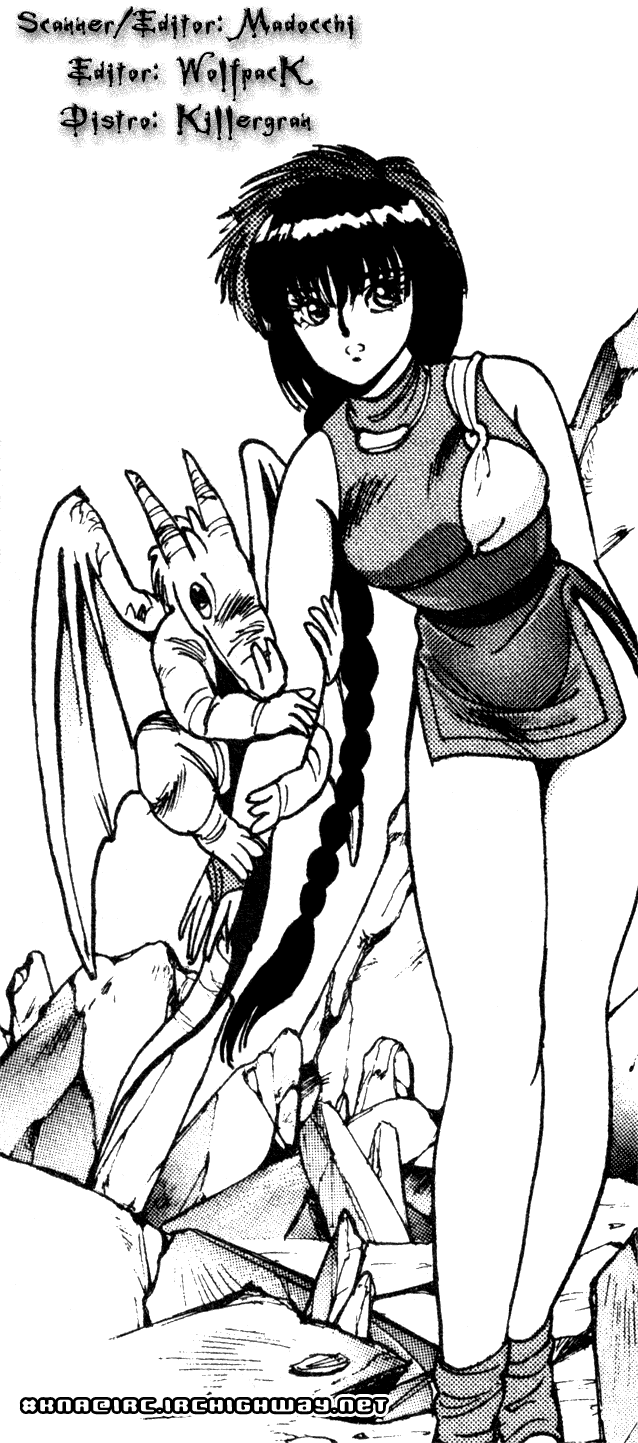 Bastard!! Chapter 11 page 20 - Chapter 11: The Host of Shadows 11 - Battle