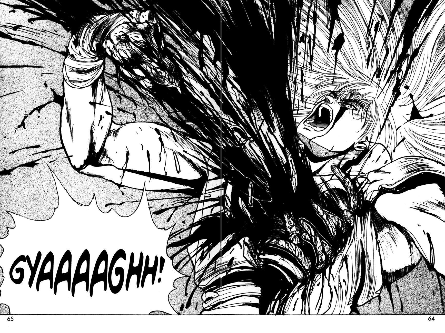 Bastard!! Chapter 40 page 16 - Chapter 40: The Host of Shadows 40 - Last Act