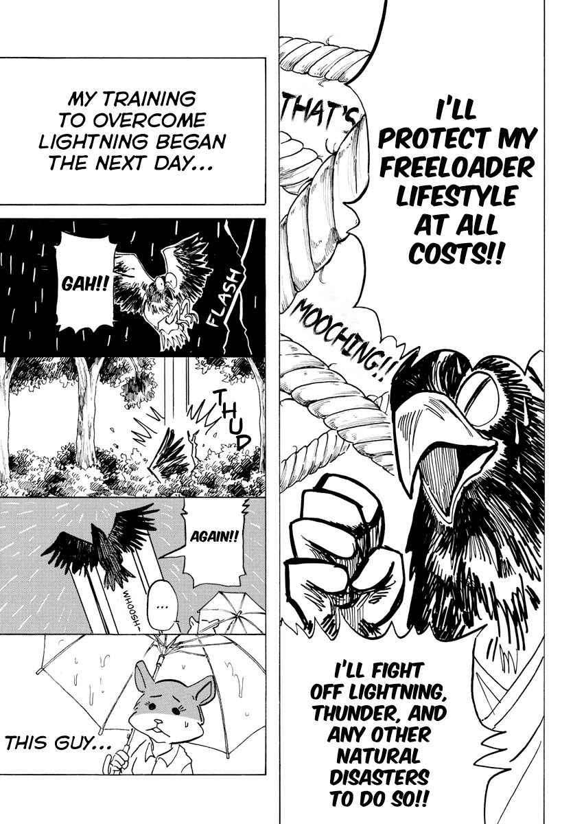 Beast Complex Chapter 11 page 10 - Chapter 11: The Eagle And The Gerbil