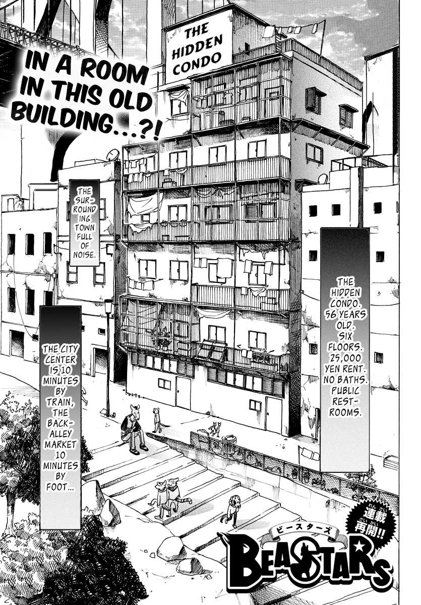 Beastars Chapter 101 page 1 - Chapter 101: Condition for Living: Raising a Stray Dog
