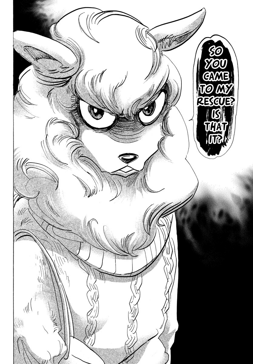 Beastars Chapter 110 page 13 - Chapter 110: I Don't Know What Beer Tastes Like