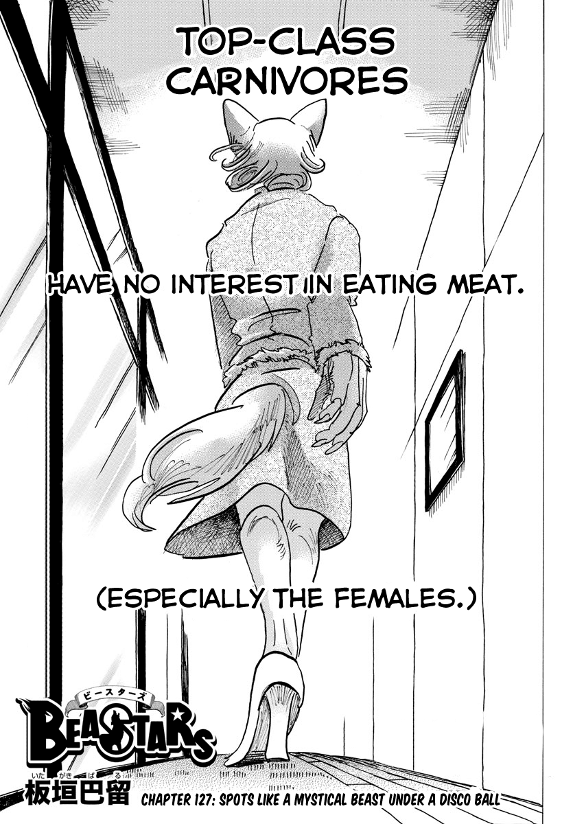Beastars Chapter 127 page 1 - Chapter 127: Spots like a Mystical Beast Under a Disco Ball