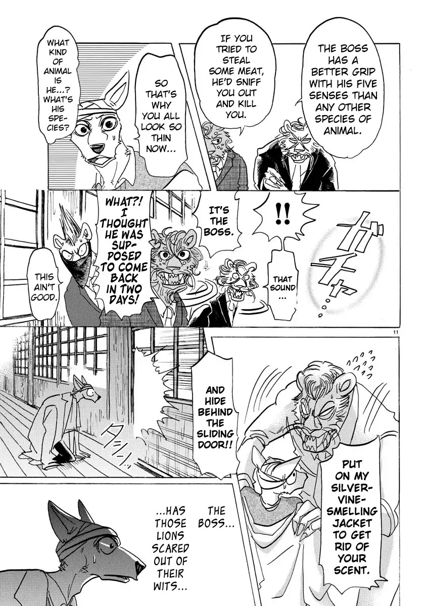 Beastars Chapter 131 page 11 - Chapter 131: A Forcibly-worn Flower Crown Made of Silver Vine