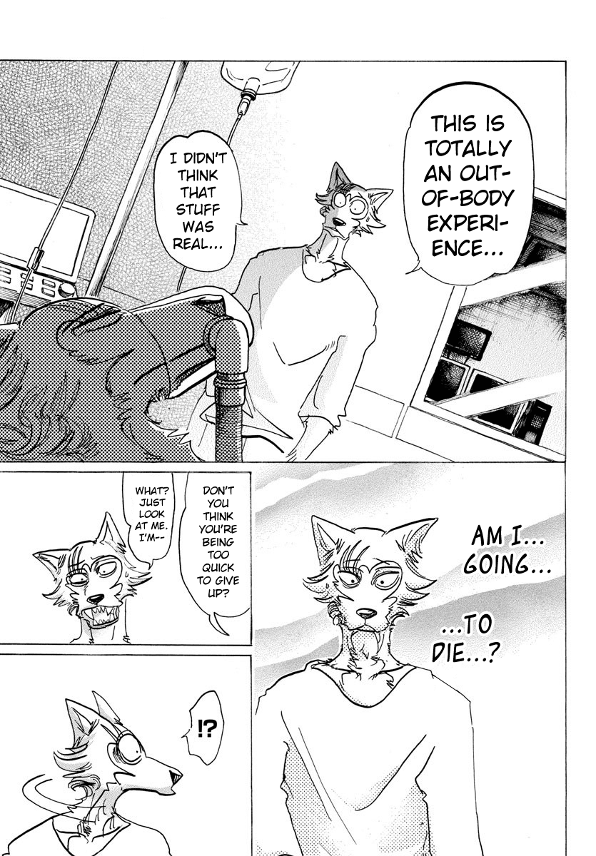 Beastars Chapter 132 page 17 - Chapter 132: You Call Me by My Name as if I'm Already Dead