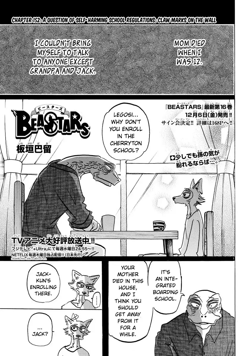 Beastars Chapter 152 page 1 - Chapter 152: A Question of Self-Harming School Regulations: Claw Marks on the Wall