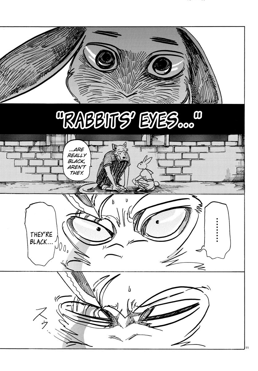 Beastars Chapter 159 page 11 - Chapter 159: Following Tracing Lines for Their Purity