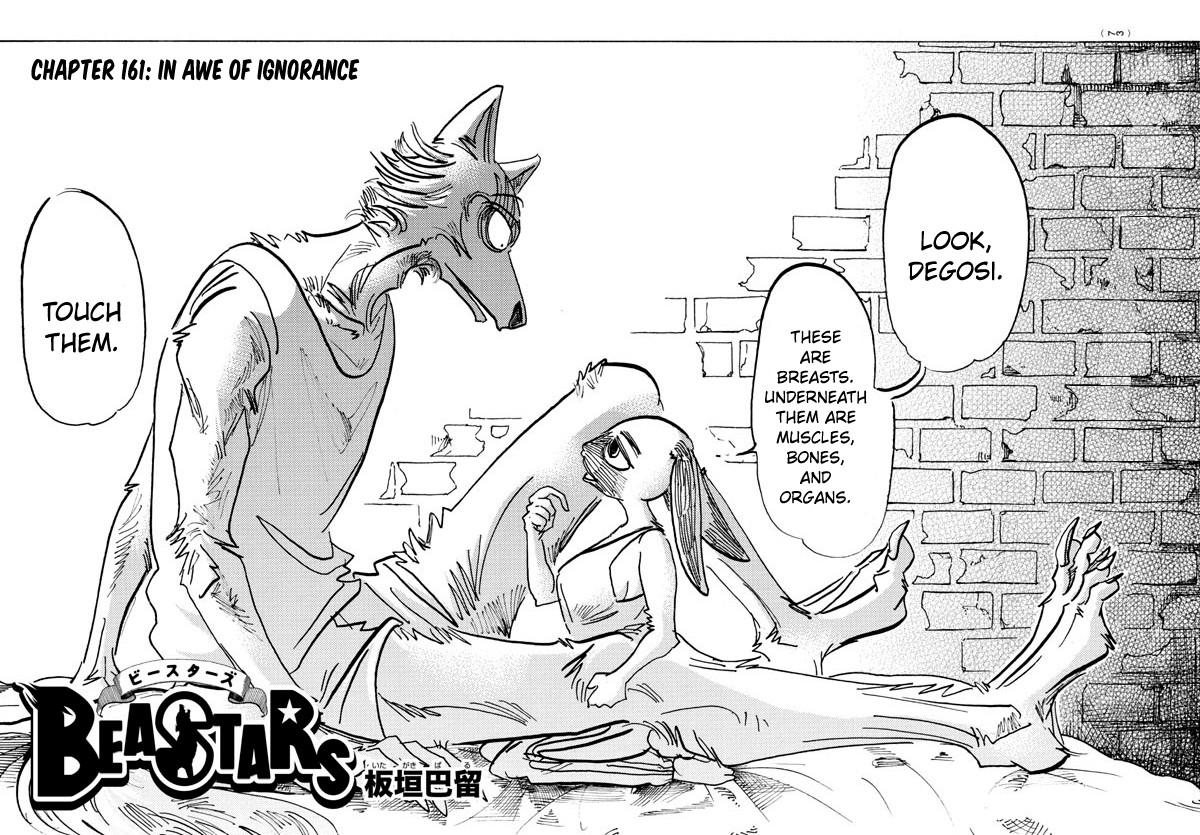 Beastars Chapter 161 page 1 - Chapter 161: In Awe of Ignorance