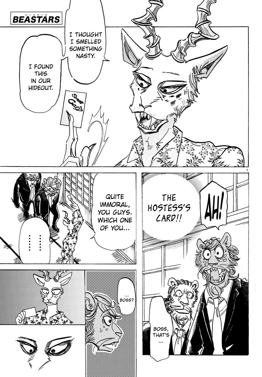Beastars Chapter 162 page 1 - Chapter 162: An Early Afternoon with a Good Wife and a Wise Mother