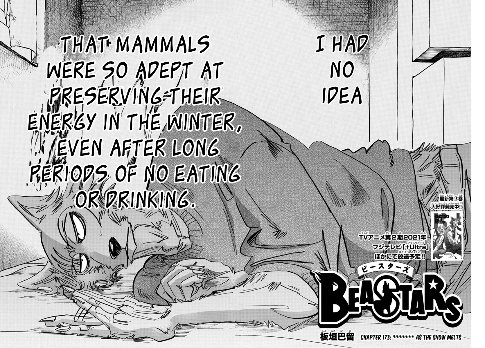 Beastars Chapter 173 page 2 - Chapter 173: ******* as the Snow Melts