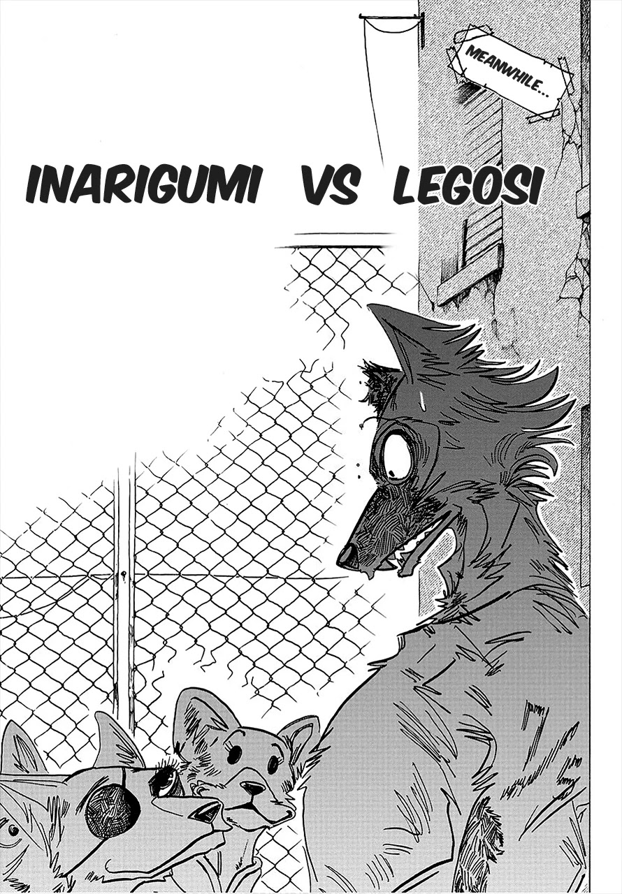 Beastars Chapter 179 page 7 - Chapter 179: The Power Under The Heels