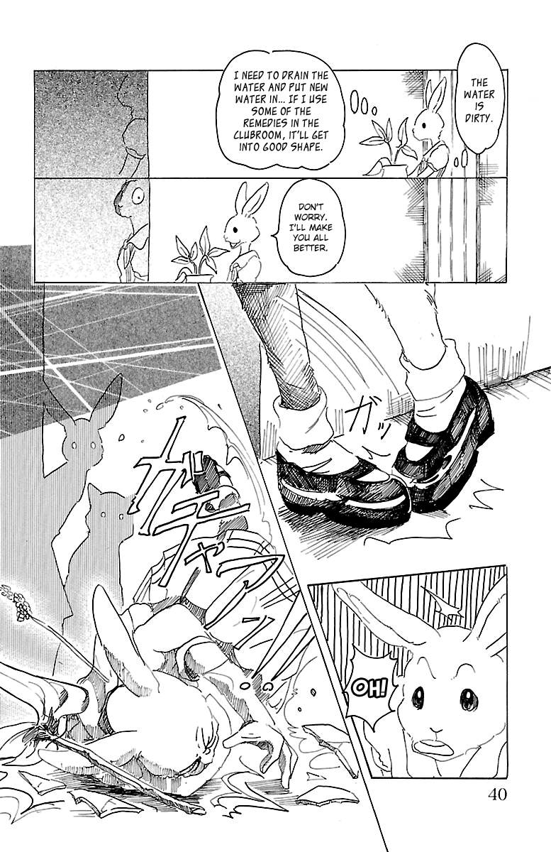 Beastars Chapter 18 page 13 - Chapter 18: The Beasts' Bon Festival in the Summer