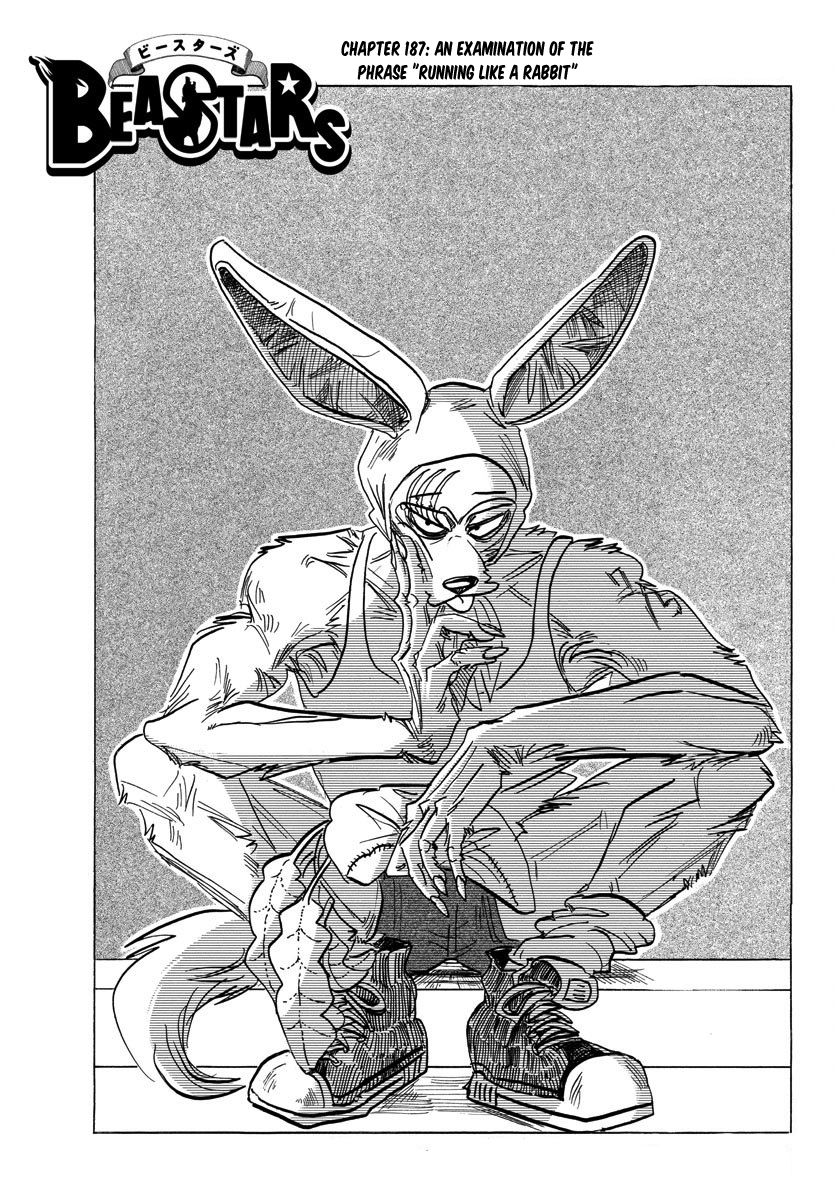 Beastars Chapter 187 page 1 - Chapter 187: An Examination of the Phrase "Running Like a Rabbit