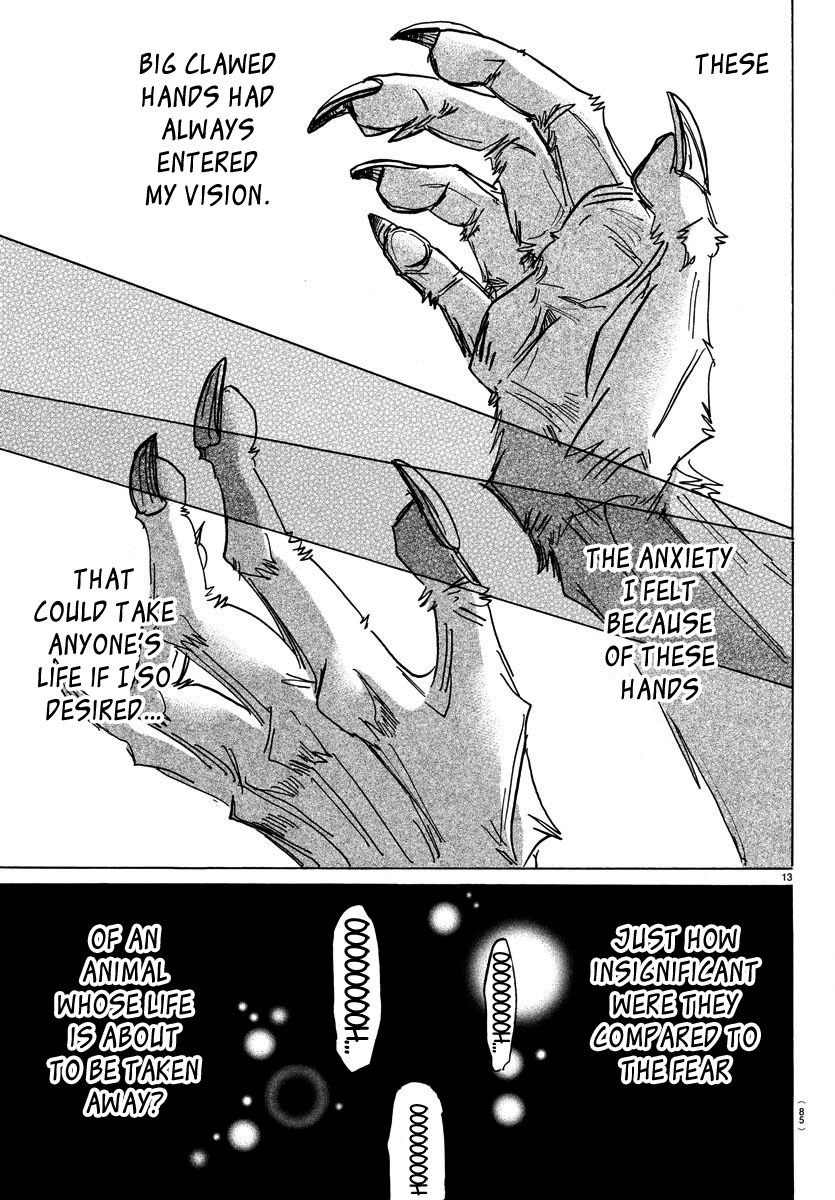 Beastars Chapter 187 page 13 - Chapter 187: An Examination of the Phrase "Running Like a Rabbit