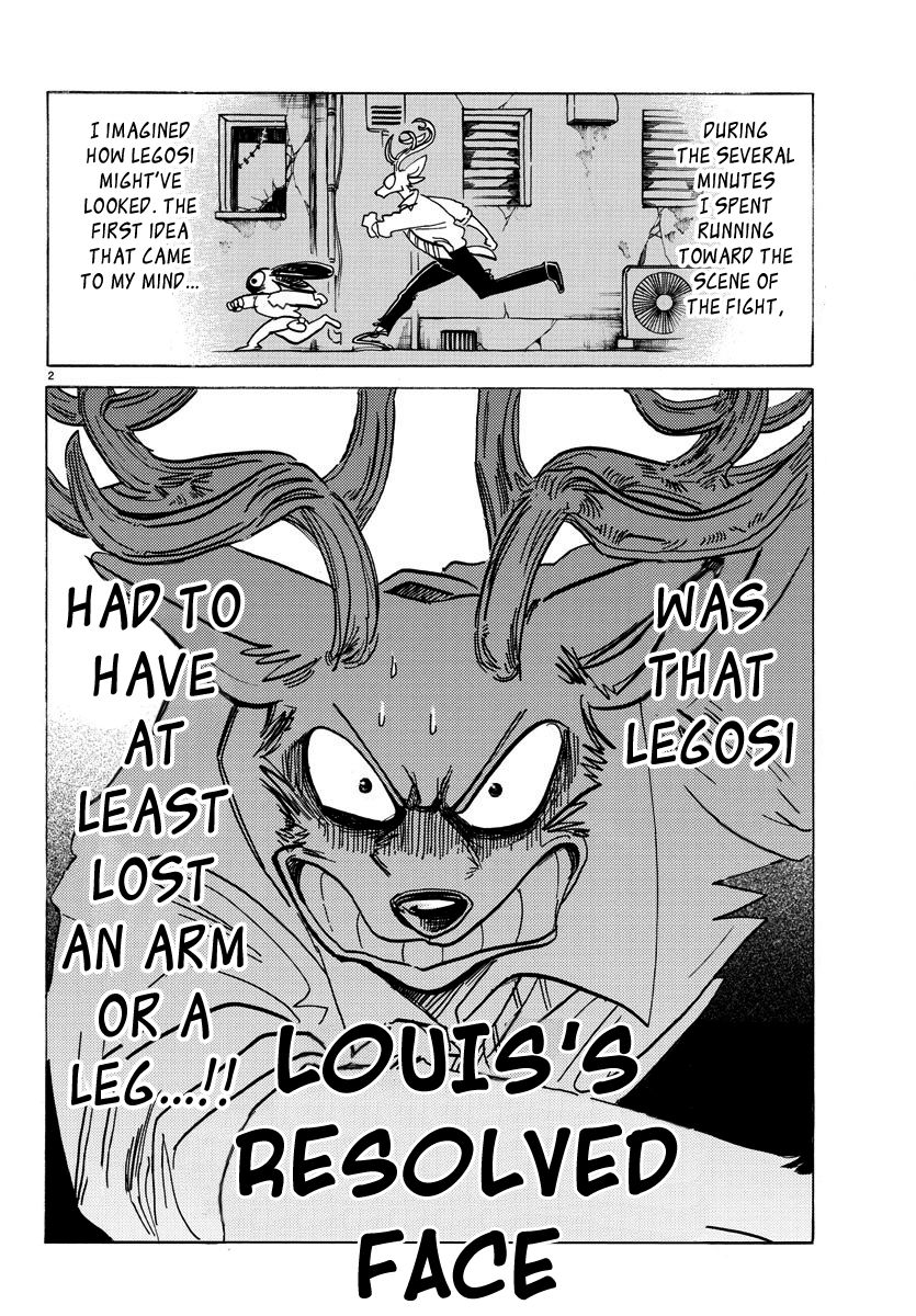Beastars Chapter 187 page 2 - Chapter 187: An Examination of the Phrase "Running Like a Rabbit