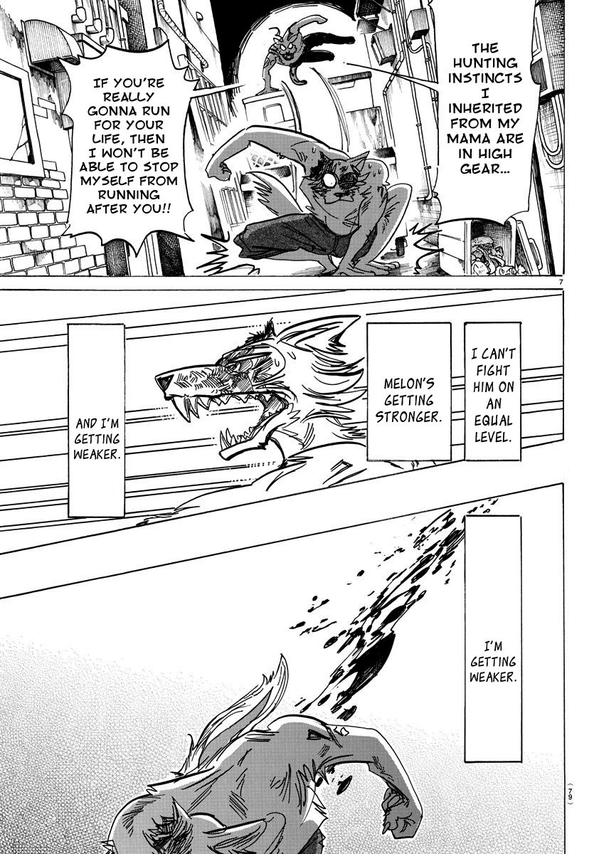 Beastars Chapter 187 page 7 - Chapter 187: An Examination of the Phrase "Running Like a Rabbit