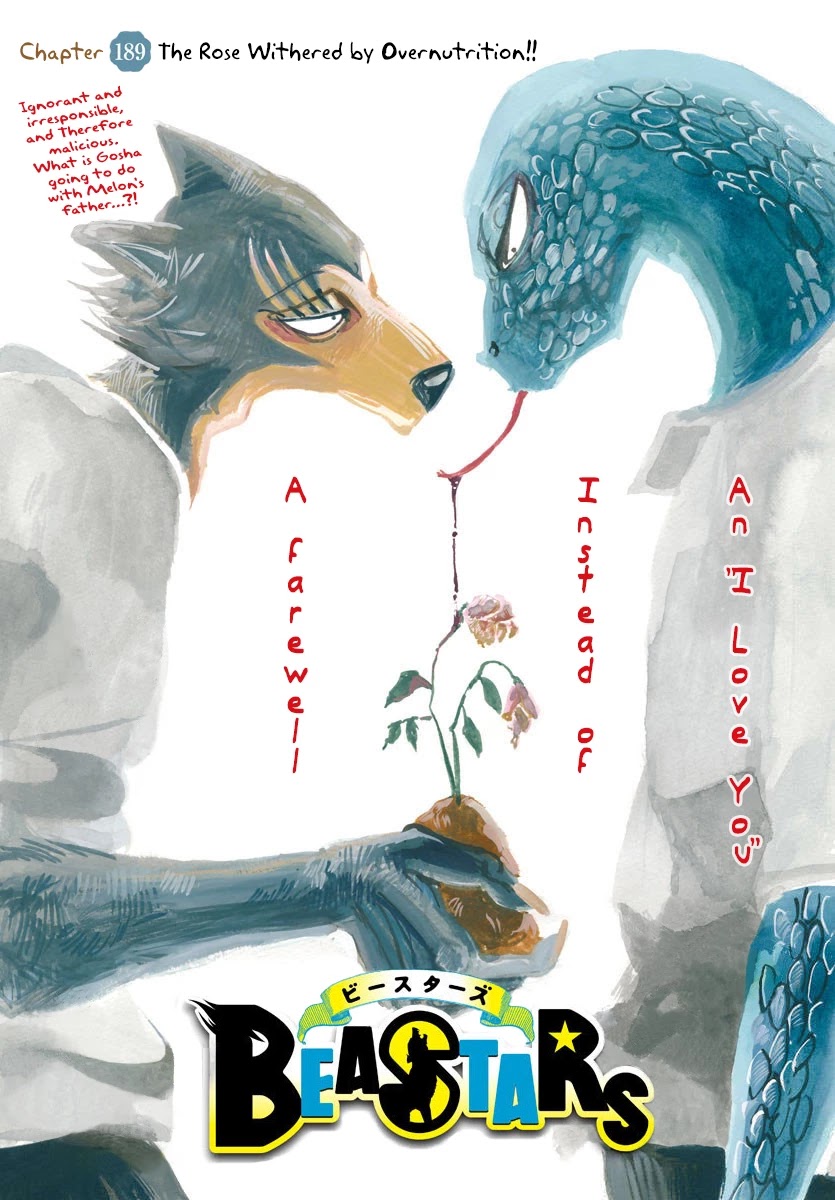 Beastars Chapter 189 page 1 - Chapter 189: The Rose Withered by Overnutrition!!