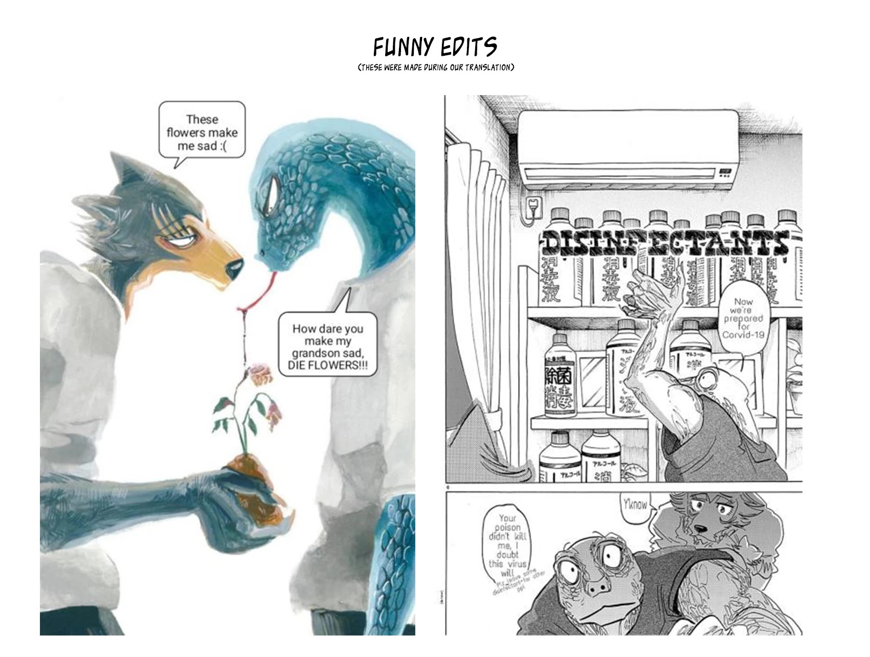 Beastars Chapter 189 page 22 - Chapter 189: The Rose Withered by Overnutrition!!