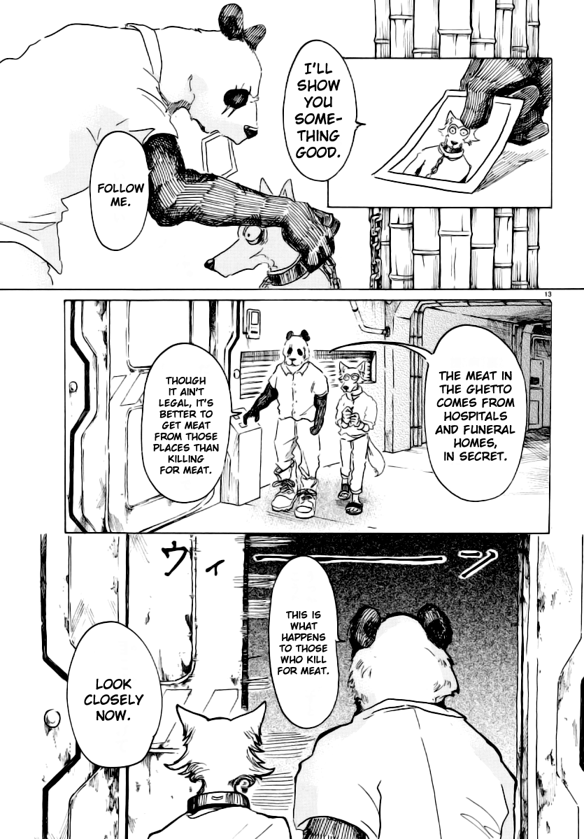Beastars Chapter 24 page 13 - Chapter 24: Visualized Reality