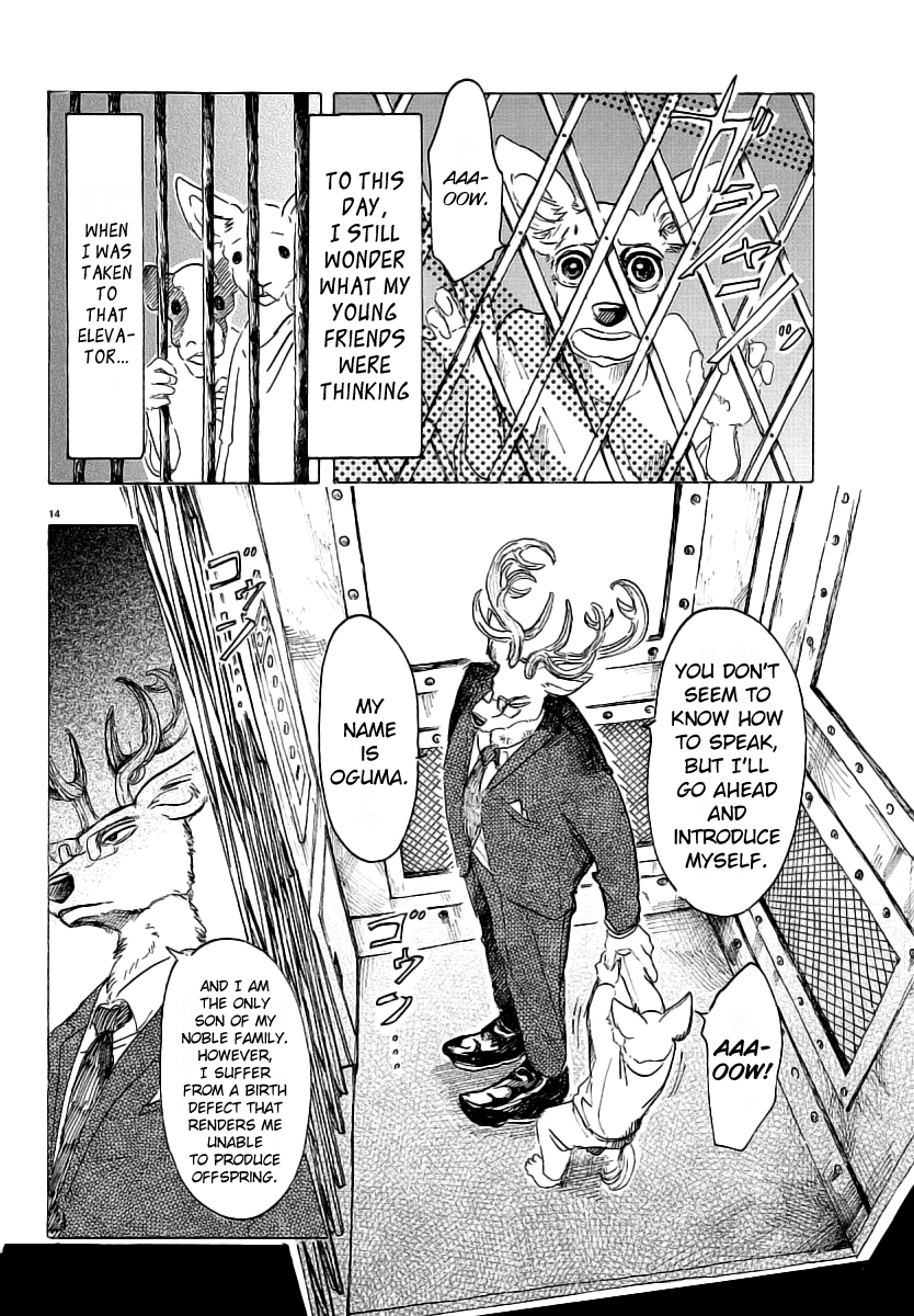 Beastars Chapter 33 page 15 - Chapter 33: To Make a Solemn Vow